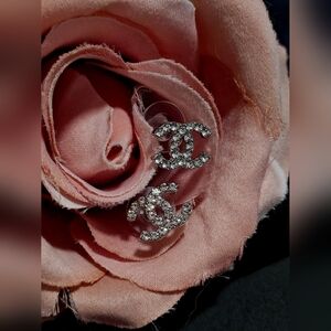 Elegant Silver Crystal Earrings